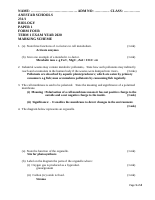 F4 Bio Ms (1).docx